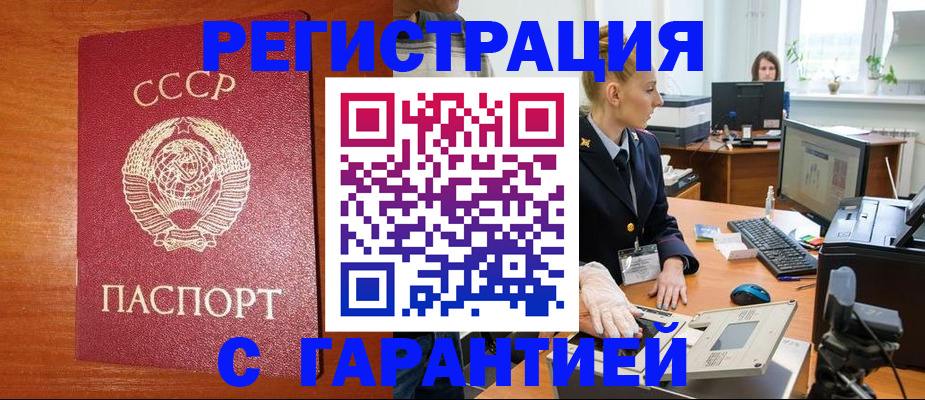 прописка 2025 в Купино